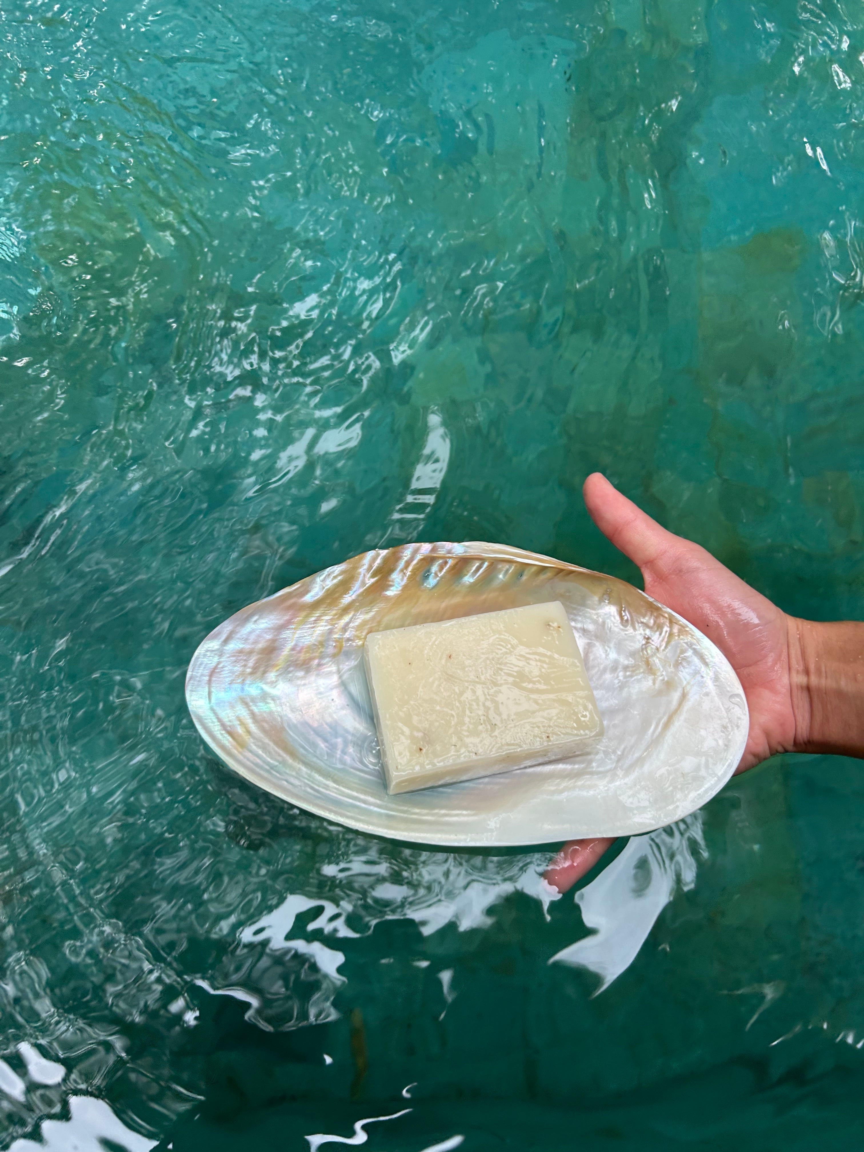 Aloe Vera Eucalyptus Cold Pressed Soap - lōttus